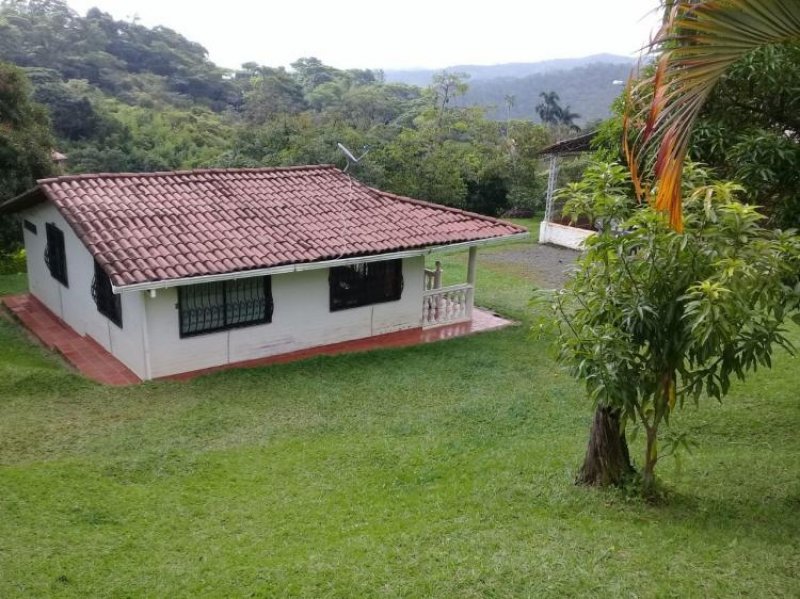 Foto Finca en Arriendo en Palmira, Valle del Cauca - $ 650.000 - FIA150727 - BienesOnLine