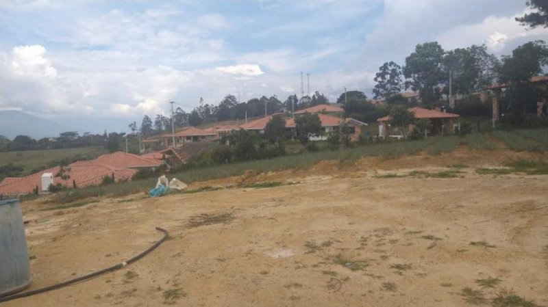 Finca en Venta en tabacal Piedecuesta, Santander