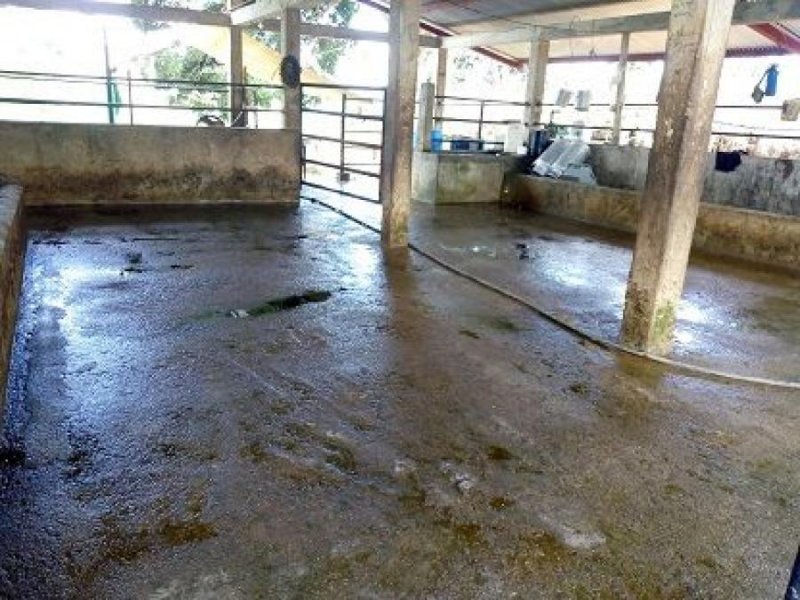 Finca en Venta en Cuesta Cuesta Rica, Santander