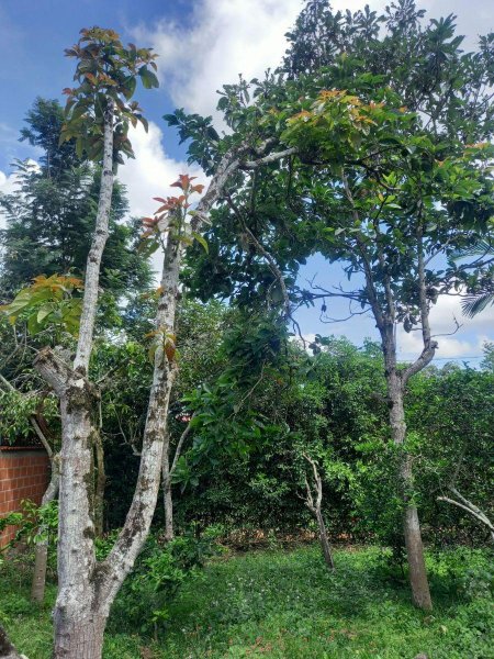 Lote en Venta en acapulco acapulco, Santander