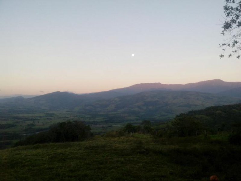 Finca en Venta en vereda las flores Lejanías, Meta