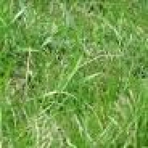 Lote en Venta en  Arauca, Arauca