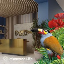 Oficina en Arriendo en Primavera Life Armenia, Quindío