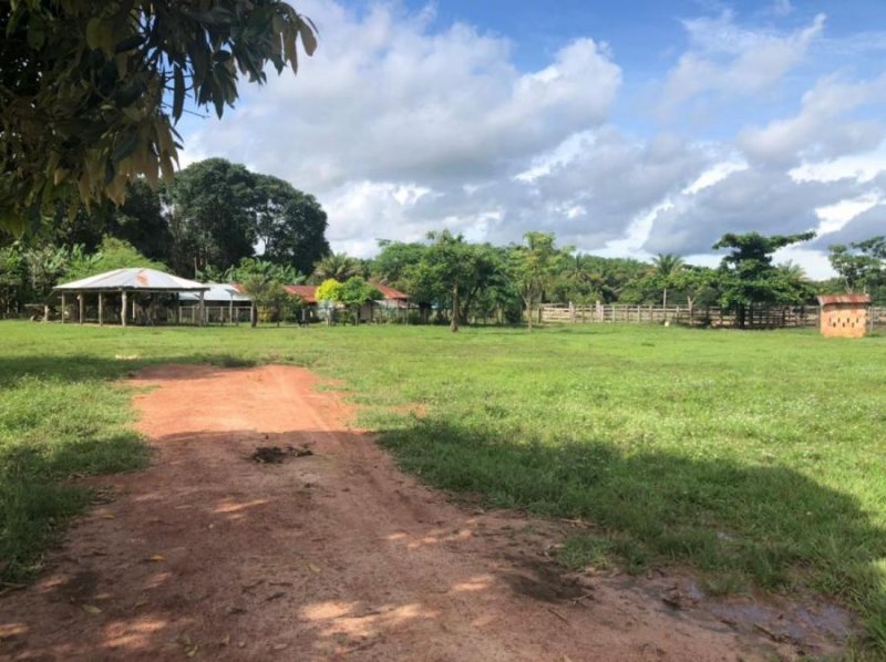 Finca en Venta en vereda el zafiro, Casanare