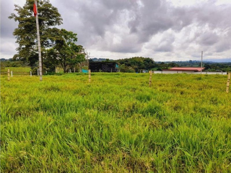 Foto Lote en Venta en Armenia, Quindío - $ 380.000.000 - LOV189949 - BienesOnLine