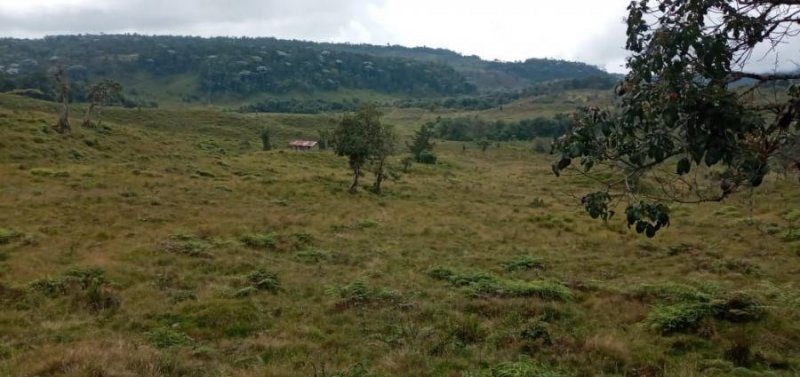 Finca en Venta en  La Plata, Huila