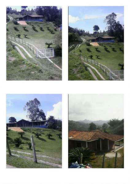 Foto Finca en Venta en el peñol, Medellín, Antioquia - $ 260.000.000 - FIV142341 - BienesOnLine
