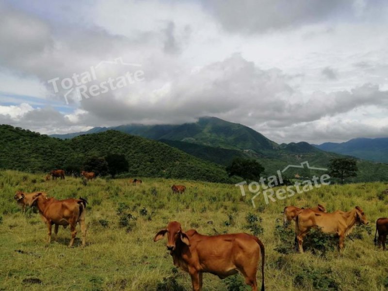 Finca en Venta en  Jerusalén, Cundinamarca