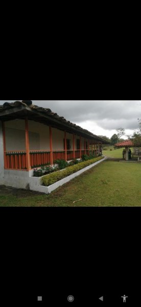 Finca en Venta en  Filandia, Quindío