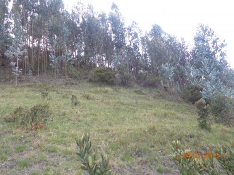 Foto Lote en Venta en San Jorge, Zipaquirá, Cundinamarca - $ 140.000.000 - LOV83890 - BienesOnLine