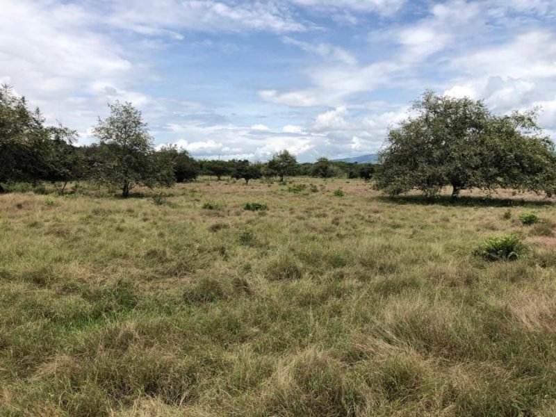 Lote en Venta en  Rivera, Huila