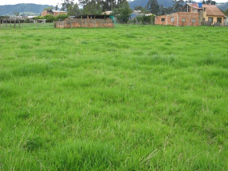 Foto Lote en Venta en Barandillas, Zipaquirá, Cundinamarca - $ 720.000.000 - LOV75906 - BienesOnLine