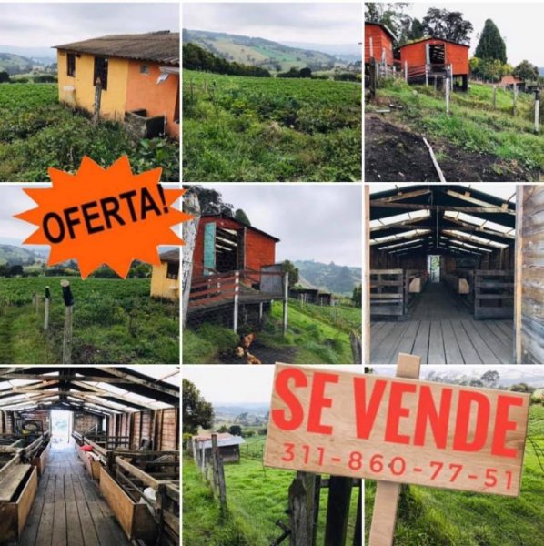 Foto Casa en Venta en subachoque, , Cundinamarca - $ 350.000.000 - CAV83113 - BienesOnLine