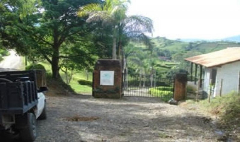 Foto Lote en Venta en Viterbo, Caldas - $ 19.707.000 - LOV61321 - BienesOnLine