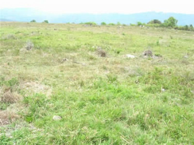Foto Lote en Venta en Cajicá, Cundinamarca - $ 250.000.000 - LOV61440 - BienesOnLine