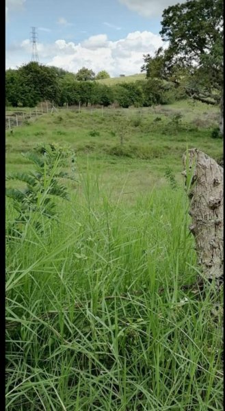 Lote en Venta en carretera yucatan, a un 1 km de la doble calzada o Obando, Valle del Cauca
