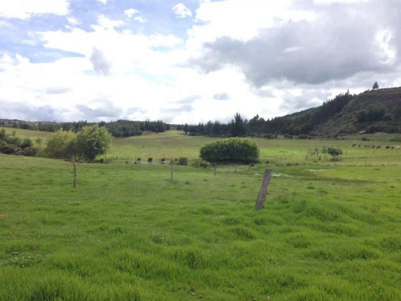 Lote en Venta en  Sogamoso, Boyacá