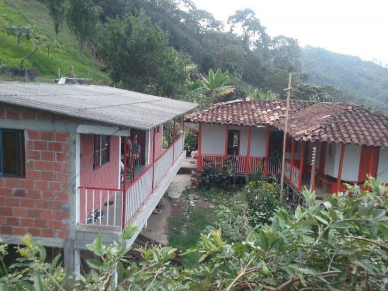 Foto Finca en Venta en LA CABAÑA, Manizales, Caldas - $ 180.000.000 - FIV105401 - BienesOnLine