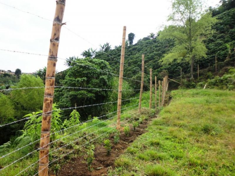 Foto Lote en Venta en BAJO TABLAZO, Manizales, Caldas - $ 100.000.000 - LOV89264 - BienesOnLine