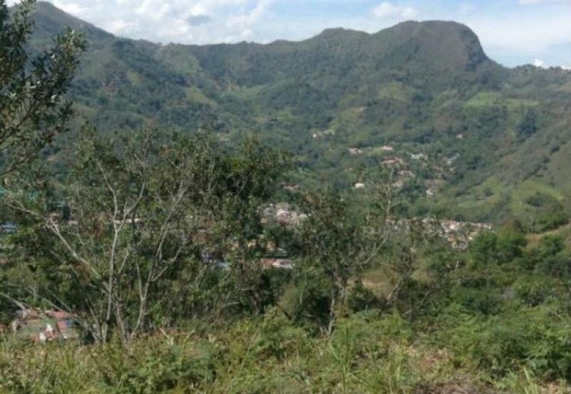 Foto Lote en Venta en Altos de Buenos Aires, La Vega, Cundinamarca - $ 210.000.000 - LOV101536 - BienesOnLine