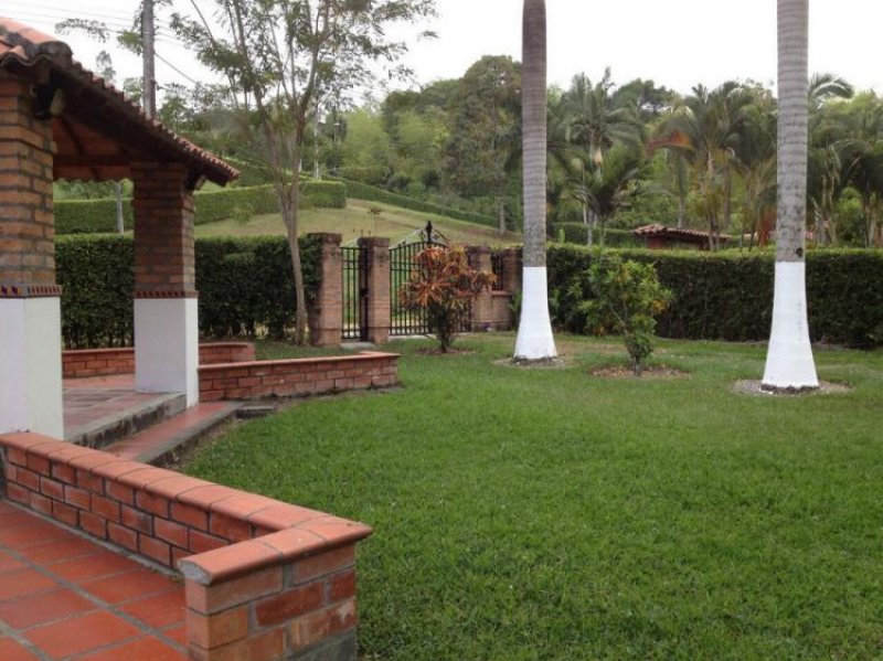 Foto Finca en Venta en ARAUCA, Manizales, Caldas - $ 450.000.000 - FIV103312 - BienesOnLine