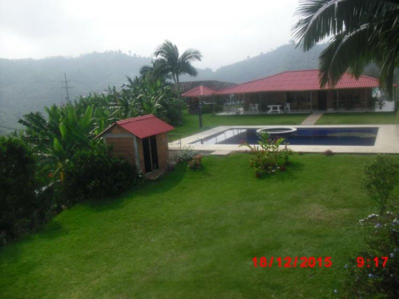 Foto Finca en Venta en PALESTINA, Manizales, Caldas - $ 480.000.000 - FIV106826 - BienesOnLine