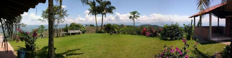 Foto Finca en Venta en Manizales, Caldas - $ 600.000.000 - FIV103541 - BienesOnLine