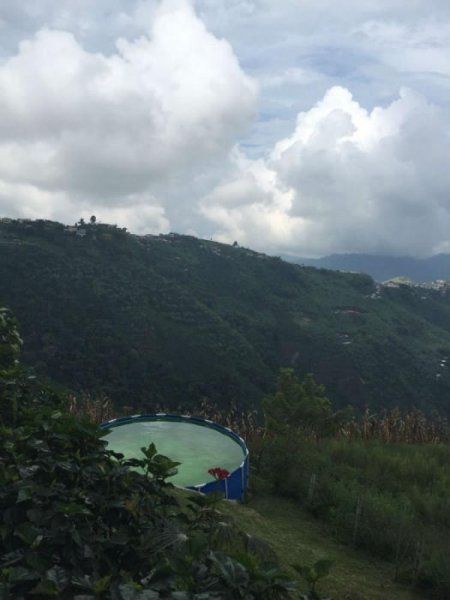 Foto Finca en Venta en SAN ISIDRO, Manizales, Caldas - $ 400.000.000 - FIV104116 - BienesOnLine