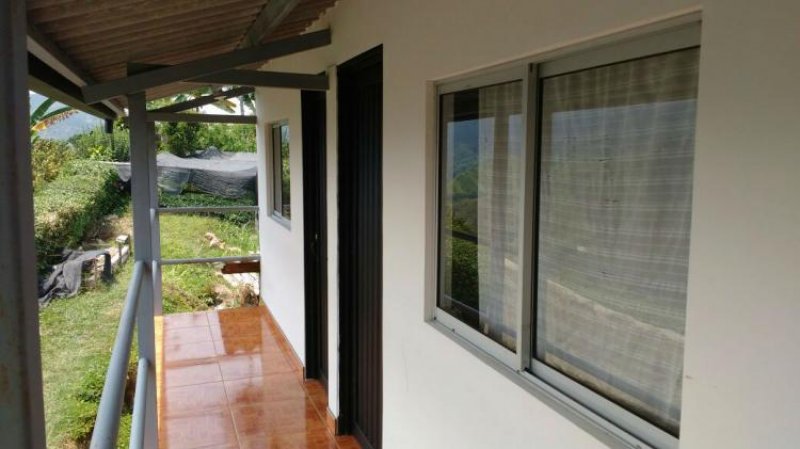 Foto Finca en Venta en SAN PEREGRINO, Manizales, Caldas - $ 350.000.000 - FIV112548 - BienesOnLine