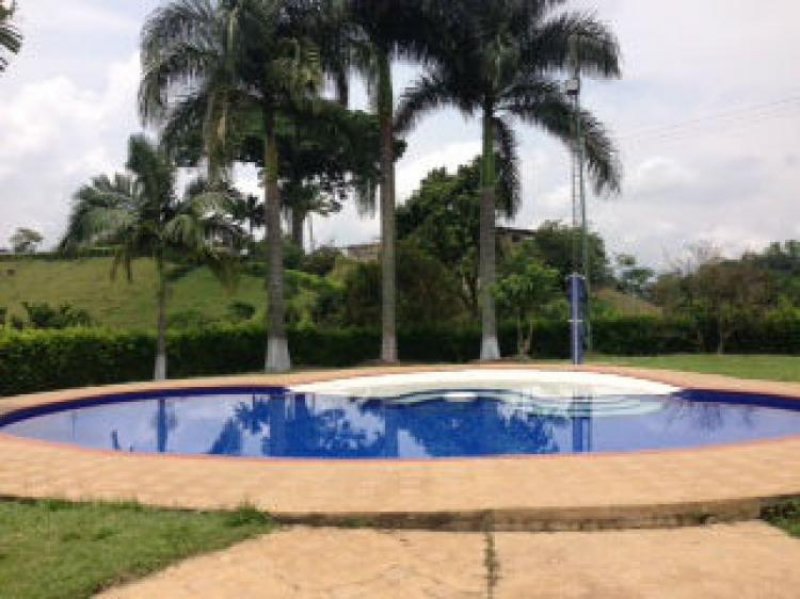 Foto Finca en Venta en Manizales, Caldas - $ 450.000.000 - FIV91041 - BienesOnLine