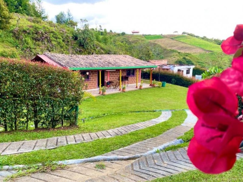 Finca en Venta en Vereda El carmin Rionegro, Antioquia