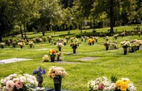 Vendo dos lotes en la inmaculada avalados en 30.000000$,los dejo en 10.000000,motivo viaje,motivo vi