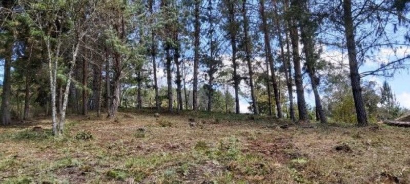 Finca en Venta en  Santa elena, Antioquia