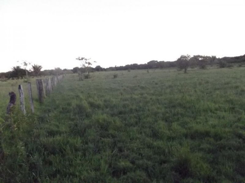 Finca en Venta en  Yopal, Casanare