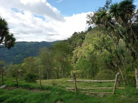 Finca en Venta en ANOLAIMA - CUNDINAMARCA Cachipay, Cundinamarca