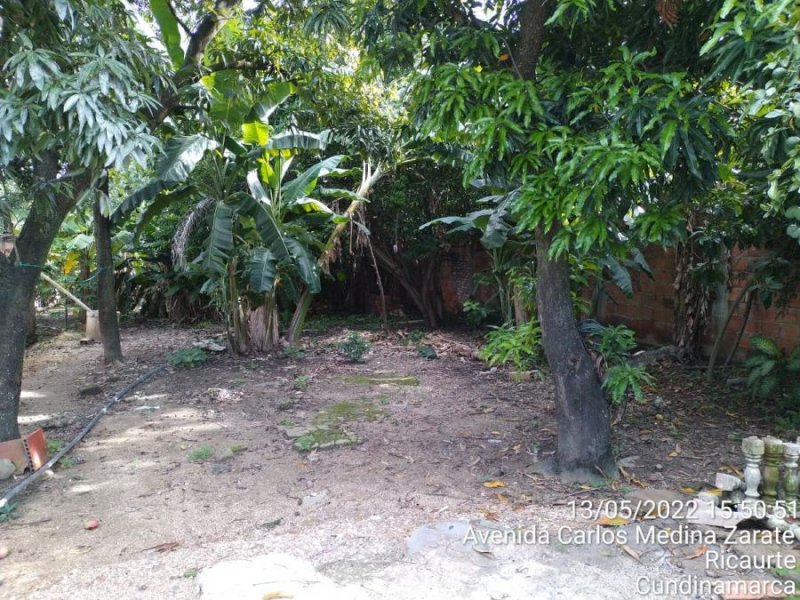 Lote en Venta en Isla del sol Ricaurte, Cundinamarca