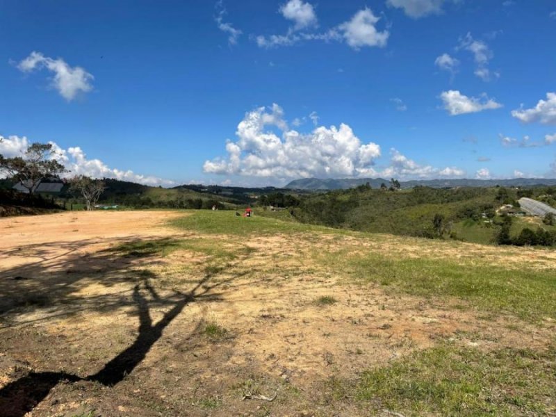 Lote en Venta en  Vereda la Enea, Antioquia
