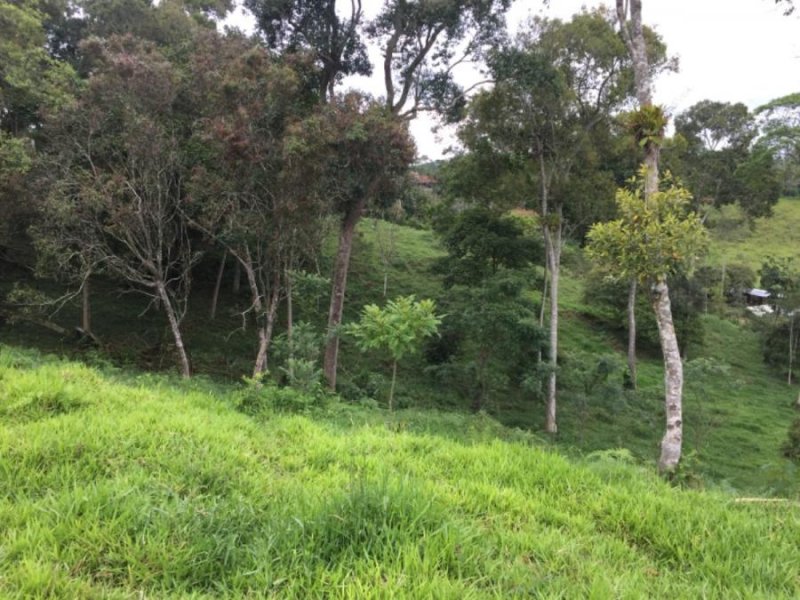 Lote en Venta en  Piedecuesta, Santander