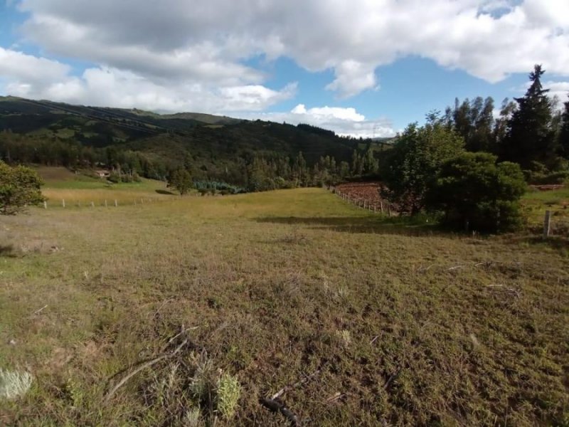 Lote en Venta en  Paipa, Boyacá