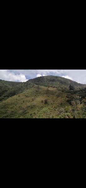 Lote en Venta en  MEDELLIN, Antioquia
