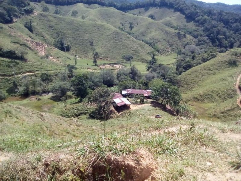 Finca en Venta en Vereda Altavista San Luis, Antioquia