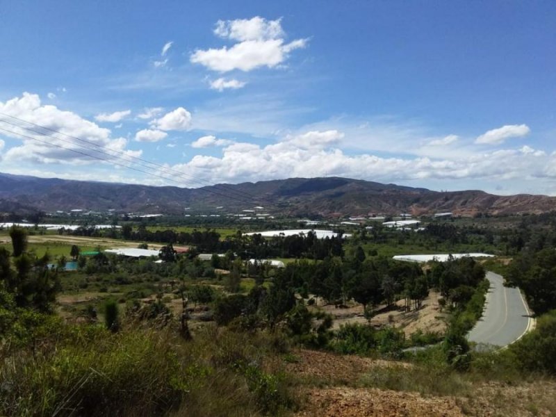 Lote en Venta en VEREDA MONQUIRA Leiva, Boyacá