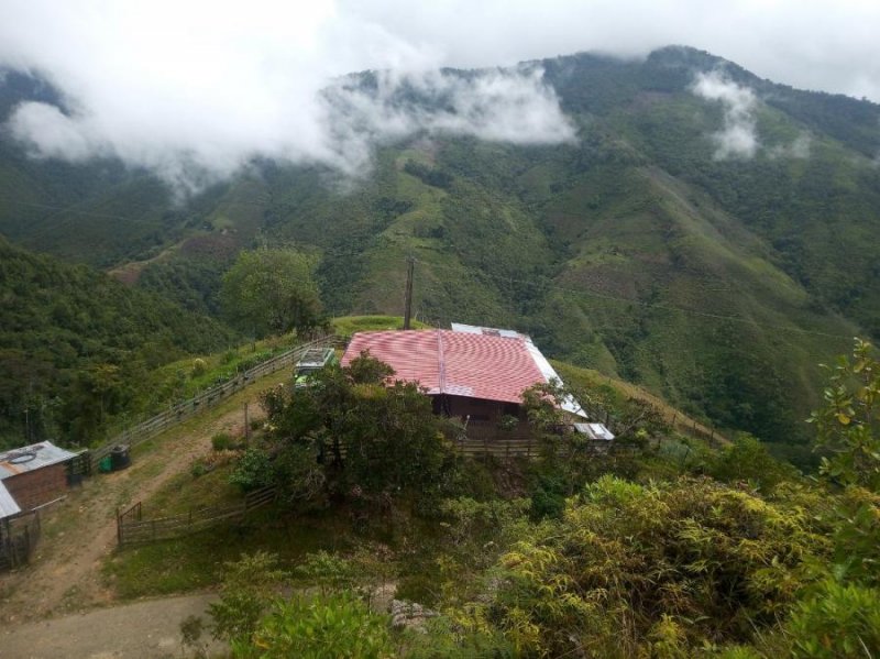 Finca en Venta en PUEBLITOS GALICIA, Caquetá