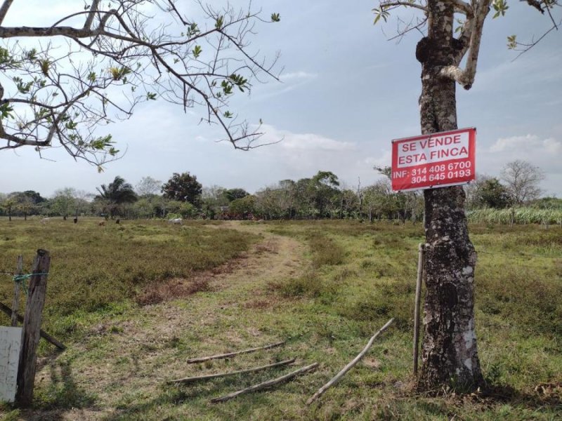 Finca en Venta en  Arauca, Arauca