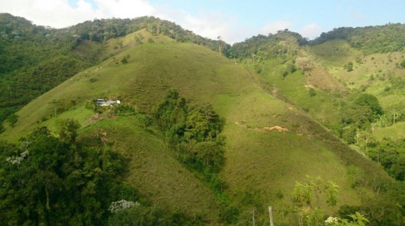 Finca en Venta en Vereda Maracaibo Argelia, Valle del Cauca