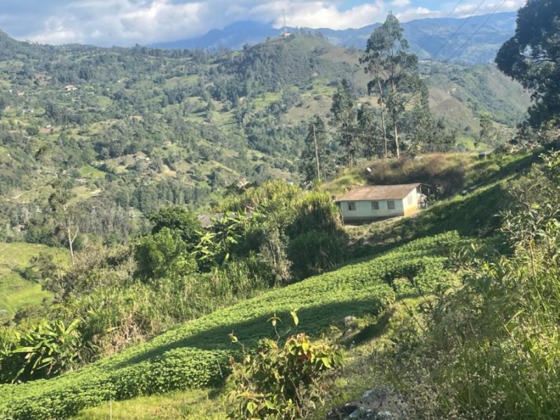 Finca en Venta en Vereda Quiuza Choachi, Cundinamarca