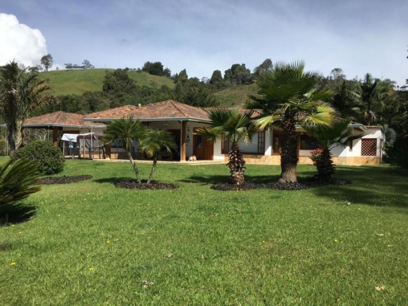 Venta de finca en Rionegro, Cabeceras, Llanogrande
