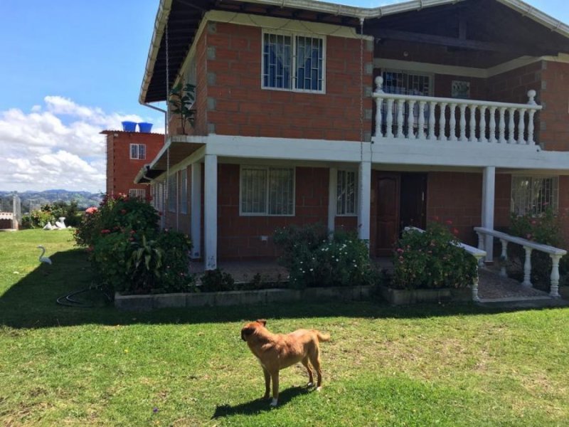 Finca en Venta en vereda Manantiales San Félix- Antioquia, Antioquia