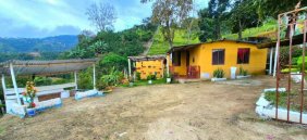 Finca en Venta en  Floridablanca, Santander