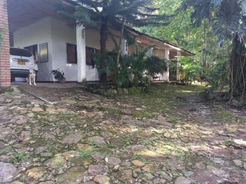 Foto Finca en Venta en Palermo, Huila - $ 4.500.000.000 - FIV193216 - BienesOnLine